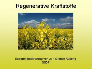 Regenerative Kraftstoffe Experimentalvortrag von Jan Grosse Austing SS