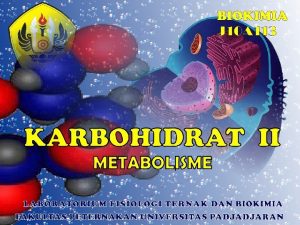 Pengantar Metabolisme Karbohidrat KH q Karbohidrat adlh komponen