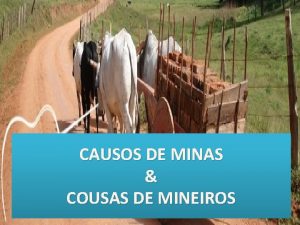 CAUSOS DE MINAS COUSAS DE MINEIROS NUDEZ MINEIRA