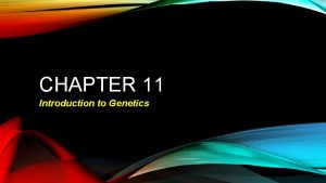 CHAPTER 11 Introduction to Genetics GENETICS YOU Something