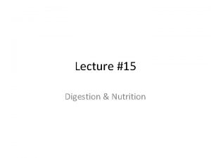 Lecture 15 Digestion Nutrition Nutrition an animals diet