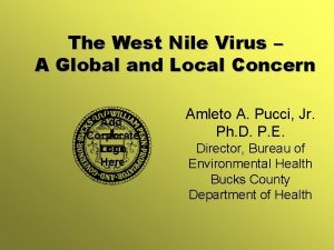 The West Nile Virus A Global and Local