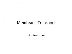 Membrane Transport Jim Huettner Membrane Flux moles of