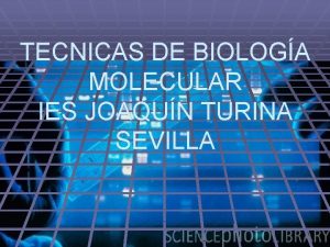 TECNICAS DE BIOLOGA MOLECULAR IES JOAQUN TURINA SEVILLA