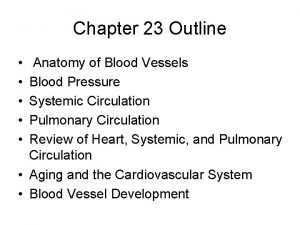 Chapter 23 Outline Anatomy of Blood Vessels Blood