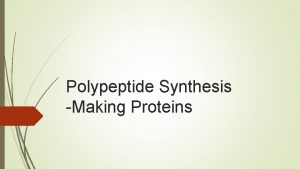 Polypeptide Synthesis Making Proteins DNA controls the cell