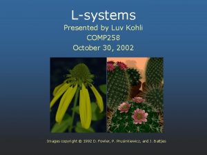 Lsystems Presented by Luv Kohli COMP 258 October