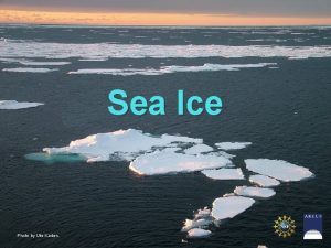 Sea Ice Photo by Ute Kaden Sea Ice