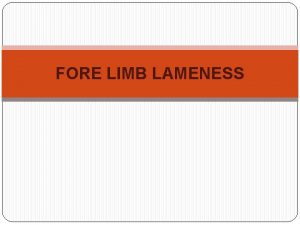 FORE LIMB LAMENESS SWEENY CAPPED ELBOW BICIPITAL BURSITIS