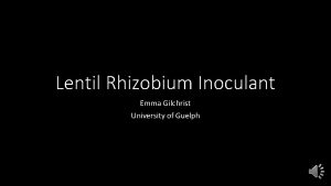 Lentil Rhizobium Inoculant Emma Gilchrist University of Guelph