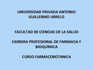 UNIVERSIDAD PRIVADA ANTONIO GUILLERMO URRELO FACULTAD DE CIENCIAS