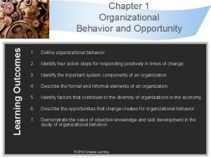 Learning Outcomes Chapter 1 Organizational Behavior and Opportunity