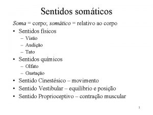 Sentidos somticos Soma corpo somtico relativo ao corpo