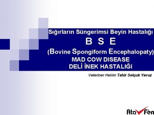 Srlarn Sngerimsi Beyin Hastal B S E Bovine