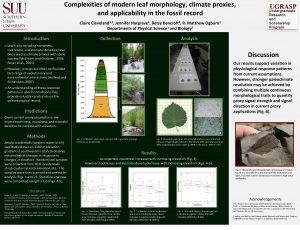 Complexities of modern leaf morphology climate proxies and