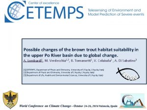 Possible changes of the brown trout habitat suitability