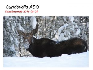 Sundsvalls SO Samrdsmte 2018 08 09 Styrgrupp Sundsvalls