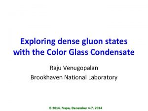 Exploring dense gluon states with the Color Glass