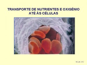 TRANSPORTE DE NUTRIENTES E OXIGNIO AT S CLULAS