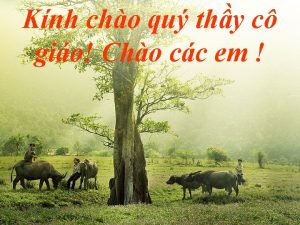 Knh cho qu thy c gio Cho cc