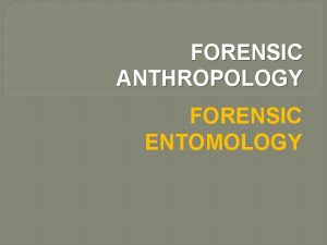 FORENSIC ANTHROPOLOGY FORENSIC ENTOMOLOGY Forensic Entomology The study