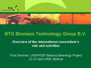 Btg biomass technology group bv