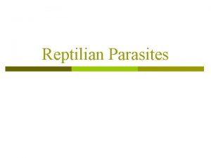 Reptilian Parasites Wild Reptiles p Normally reptiles living