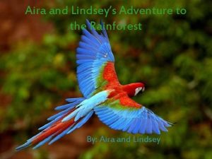 Aira and Lindseys Adventure to the Rainforest By