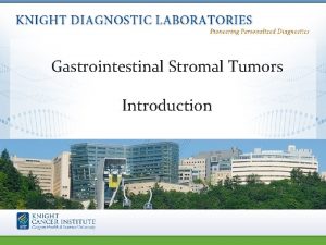 Gastrointestinal Stromal Tumors Introduction GI Stromal Tumor Esophagus