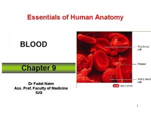 Essentials of Human Anatomy BLOOD Chapter 9 Dr