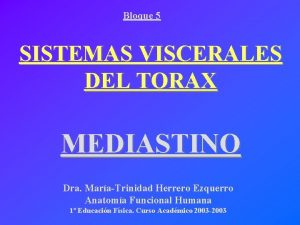Bloque 5 SISTEMAS VISCERALES DEL TORAX MEDIASTINO Dra
