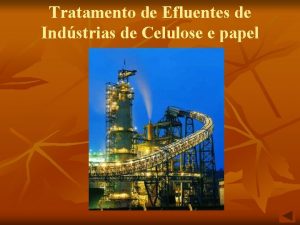 Tratamento de Efluentes de Indstrias de Celulose e