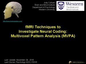 Jody Culham Brain and Mind Institute Department of