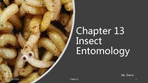 Chapter 13 Insect Entomology Mr Davis 6132021 Chapter