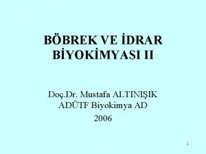 BBREK VE DRAR BYOKMYASI II Do Dr Mustafa