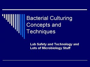 Bacterial Culturing Concepts and Techniques Lab Safety and