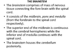 THE BRAINSTEM The brainstem comprises of mass of