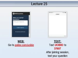 Lecture 25 WEB Go to pollev comucibio TEXT