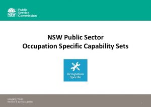 Nsw public sector capability framework