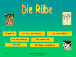 Allgemein Aufbau einer Rbe Die Futterrbe Rezepte 6122021