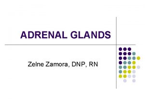 ADRENAL GLANDS Zelne Zamora DNP RN LAUGHTER IS