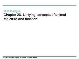 2019 Biology 2 Chapter 20 Unifying concepts of