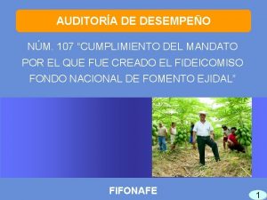 AUDITORA DE DESEMPEO NM 107 CUMPLIMIENTO DEL MANDATO