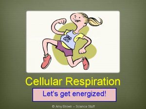 Copyrighted by Amy Brown Science Stuff Cellular Respiration