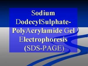 Sodium Dodecyl Sulphate Poly Acrylamide Gel Electrophoresis SDSPAGE