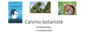 Calvino botaniste Nathalie Roelens 4 novembre 2019 Introduction
