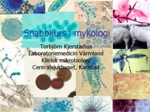 Snabbkurs i mykologi Torbjrn Kjerstadius Laboratoriemedicin Vrmland Klinisk