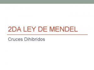 2 DA LEY DE MENDEL Cruces Dihibridos Ley