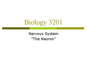 Biology 3201 Nervous System The Neuron The Neuron