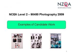 NCEA Level 2 90480 Photography 2009 Examples of